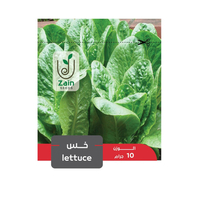 بذور الخس من زين سيدز - 5 جرام